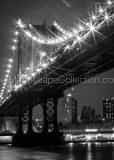 Vertical The Manhattan Bridge from Brooklyn Bridge park Framed Photos