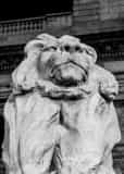Vertical The Lion Statue Outside of the New York Public Library Framed Photos