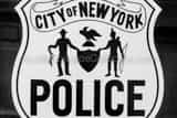 Horizontal A Seal on an Old NYPD Paddy Wagon Framed Photos