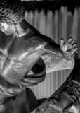 Vertical Prometheus at Night black and white Pictures