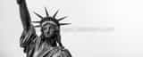Panoramic The Statue of Liberty Framed Photos