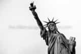 Horizontal The Statue of Liberty with Torch Framed Photos