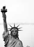 Vertical The Torch of the Statue of Liberty Framed Photos