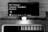 Horizontal The Yankee Stadium 4 Train Station at 161st Street Photography