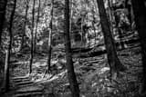 Horizontal An Old Man's Cave Walking Trail black and white Photos