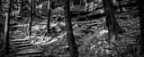 Panoramic An Old Man's Cave Walking Trail black and white Photos
