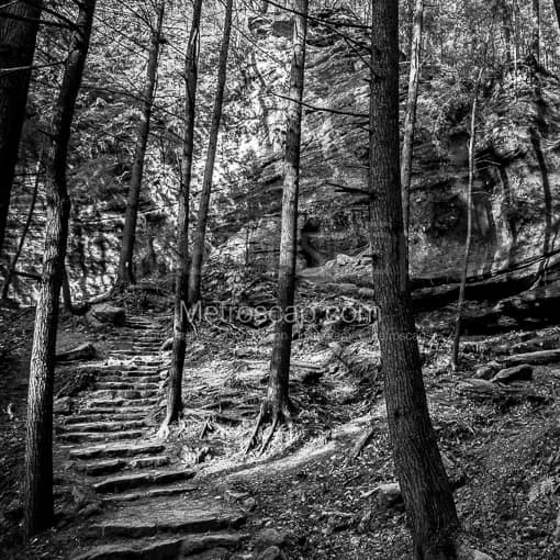 An Old Man's Cave Walking Trail -- Old Mans Cave Black and White Photos