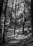 Vertical An Old Man's Cave Walking Trail black and white Photos