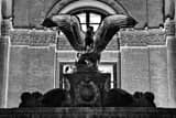Horizontal A Bronze Eagle with Spread Open Wings Photography