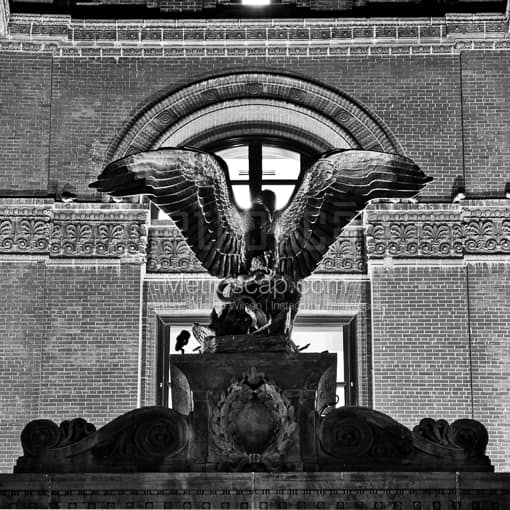 A Bronze Eagle with Spread Open Wings -- Omaha Black and White Photography