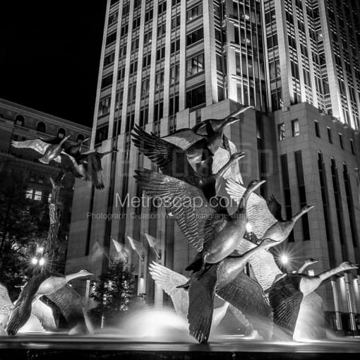 Omaha Black and White Photos of Geese in the Spirit of Nebraska Sculpture Park Geese in the Spirit of Nebraska Sculpture Park -- Omaha Black and White Photos