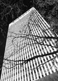 Vertical The Woodmen Building Photography