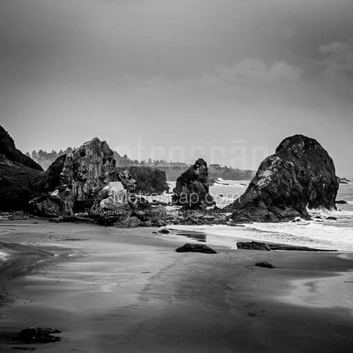 Matte Black WOOD Framed Black and White Oregon Coast Photograph: Cape Ferelo Viewpoint in a Square Matte Black Wood Frame