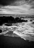 Vertical Low Tide on the Oregon Coast black and white Photography