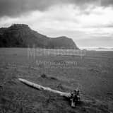 Square The Samuel H Boardman State Park black and white Photography