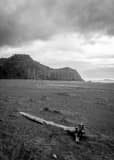 Vertical The Samuel H Boardman State Park black and white Photography