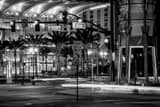 Horizontal Downtown Orlando Intersection of South and Orange black and white Photos