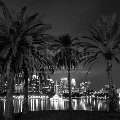 The Orlando Skyline behind Palm Trees at Night -- Orlando Black and White Photos