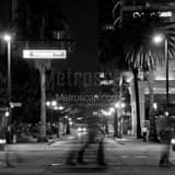 Square Rosalind Avenue in Downtown Orlando Framed Photos