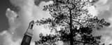 Panoramic The Beta Theta Pi Bell Tower black and white Photos