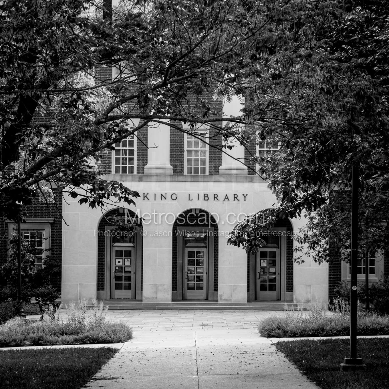 The King Library black and white Pictures The King Library black and white Pictures square crop