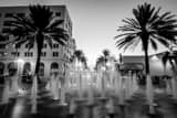 Horizontal The Clematis Street Fountain at Dusk black and white Pictures