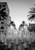 Vertical The Clematis Street Fountain at Dusk black and white Pictures