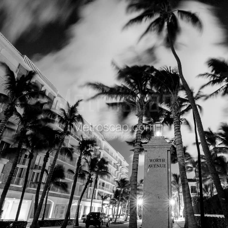 Palm Beach Black & White Pictures