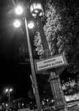Vertical An Avenue Champs-Elysee Lamp Post landscape black and white Photography