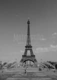 Vertical The Eiffel Tower from the Fountains in the Trocadero Gardens landscape black and white Photography