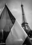 Vertical The French Flag and Eiffel Tower landscape black and white Photography