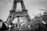Horizontal The Jardins du Trocadero and Le Tour Eiffel landscape black and white Photography