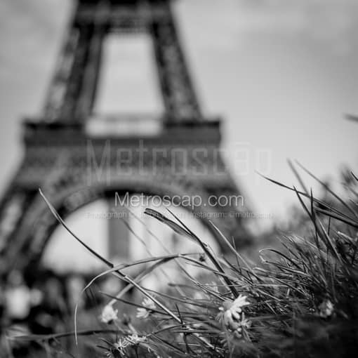 Paris Black and White Photography of The Jardins du Trocadero and Le Tour Eiffel The Jardins du Trocadero and Le Tour Eiffel -- Paris Black and White Photography