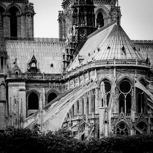 Notre Dame de Paris -- Paris Black and White Photography
