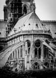 Vertical Notre Dame de Paris landscape black and white Photography