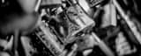 Panoramic Love Locks landscape black and white Photography