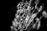 Horizontal Paris Love Locks landscape black and white Photography