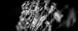 Panoramic Paris Love Locks landscape black and white Photography