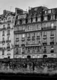 Vertical Parisian Apartments along Quai aux Fleurs landscape black and white Photography
