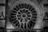 Horizontal The Rose on Notre Dame de Paris landscape black and white Photography