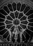 Vertical The Rose on Notre Dame de Paris landscape black and white Photography