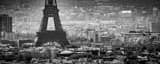 Panoramic The Seventh Arrondissement from Sacre Coeur landscape black and white Photography