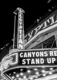 Vertical The Egyptian Theater at Night Framed Photos