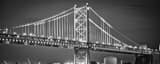 Panoramic Cranes along the Delaware River under the Benjamin Franklin Bridge black and white Pictures