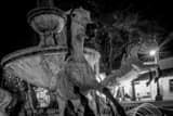 Horizontal The Bob Parks Horse Fountain landscape black and white Photography