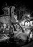 Vertical The Bob Parks Horse Fountain landscape black and white Photography