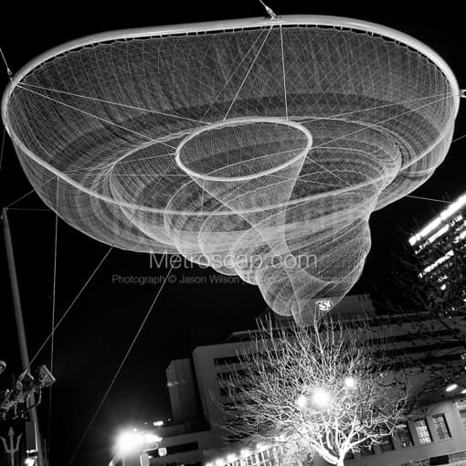 The Jellyfish in Civic Space Park -- Phoenix Black and White Pictures