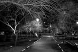 Horizontal A Lit Path near Phoenix Central Station black and white Photos
