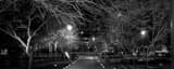 Panoramic A Lit Path near Phoenix Central Station black and white Photos