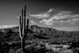 Horizontal An Iconic Saguaro Cactus and the Mazatzal Mountains black and white Photography